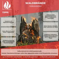TIPP Waldbrand.jpg