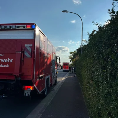 Tragehilfe.jpeg