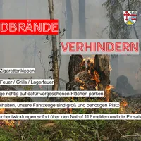 waldbrand.jpg