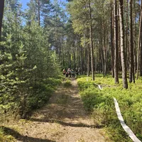 20250630_161657.jpg